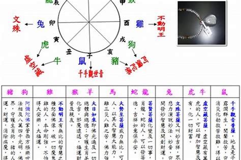 2003五行属什么|2003年出生的属什么,2003年是什么生肖